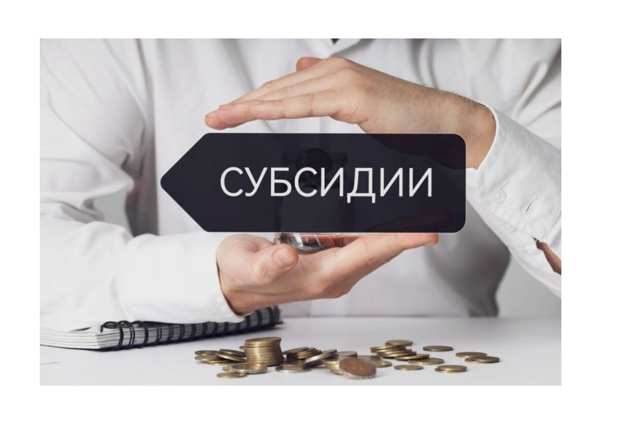 Отбор на предоставление субсидии.